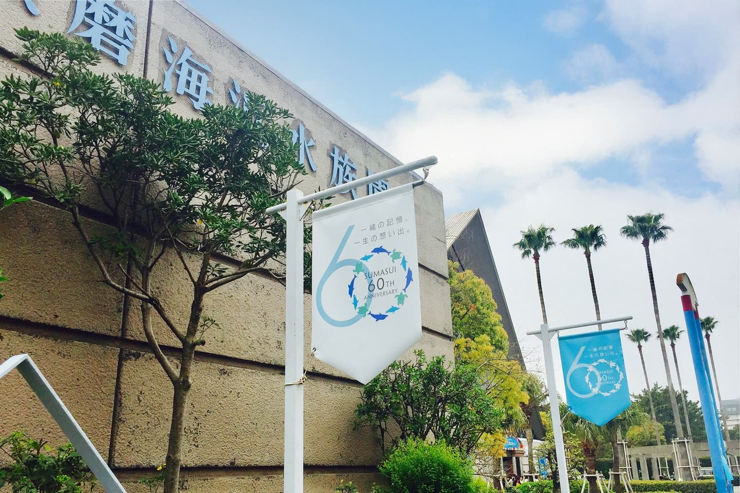 北摂ブランディング_ショップカードデザイン